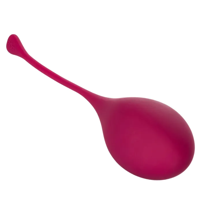 CalExotics Kegel Training 5 Pc Set | Female Sex Toys