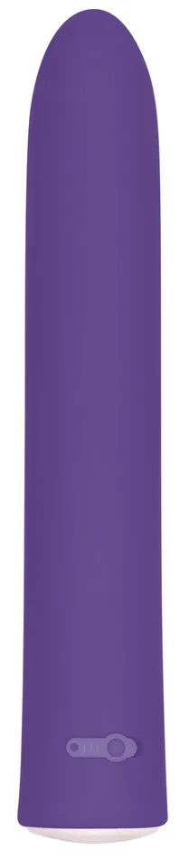 Rechargeable Slim Evolved Novelties Female Sex Toys