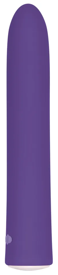 Rechargeable Slim | Evolved Novelties Female Sex Toys