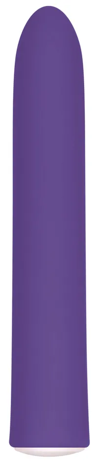 Rechargeable Slim | Evolved Novelties Female Sex Toys