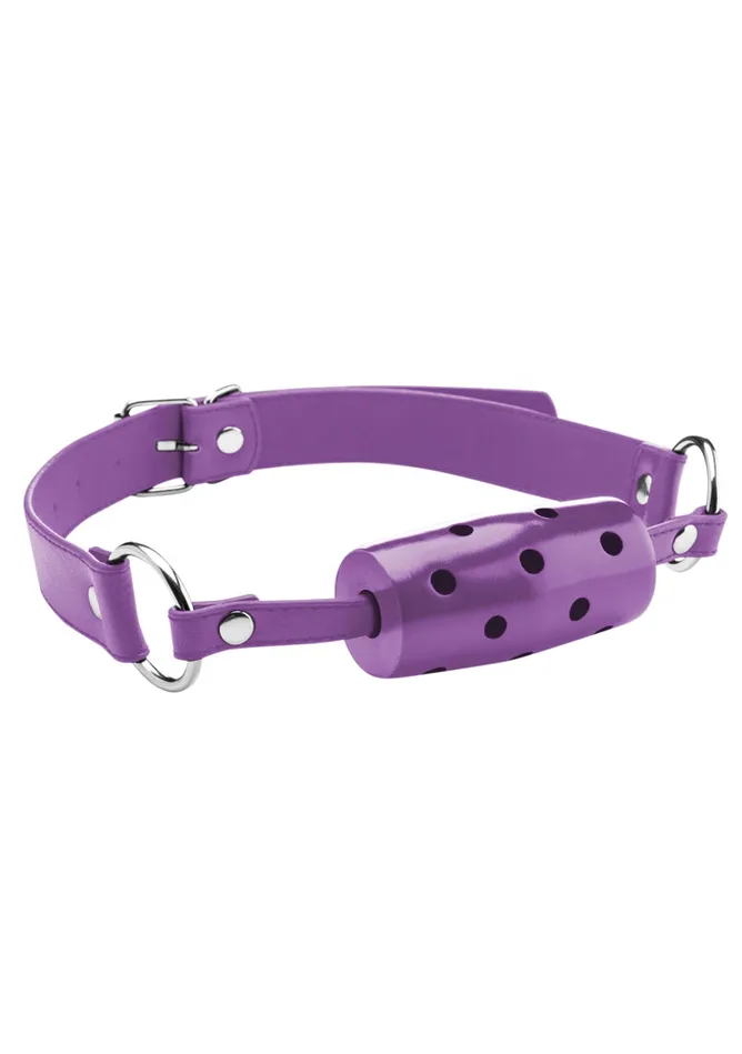 Cylinder Gag Purple Shots Ouch Vibrators