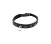 Anal LOVE IN LEATHER LOVE IN LEATHER COLLAR BLACK WITH BLACK PEARLS COL035BLK Anal LOVE IN LEATHER LOVE IN LEATHER COLLAR BLACK WITH BLACK PEARLS COL035BLK