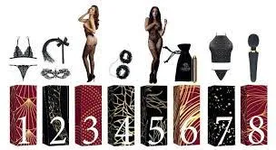 Shots Vibrators LE DESIR SEXY LINGERIE AND VIBRATOR CALENDAR