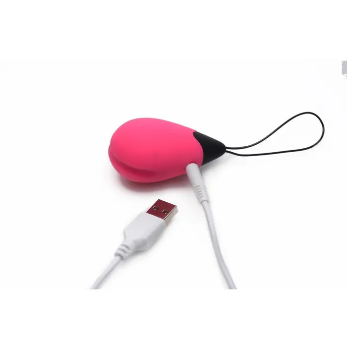 10X Vibrating Egg wRemote Pink Bang Vibrators