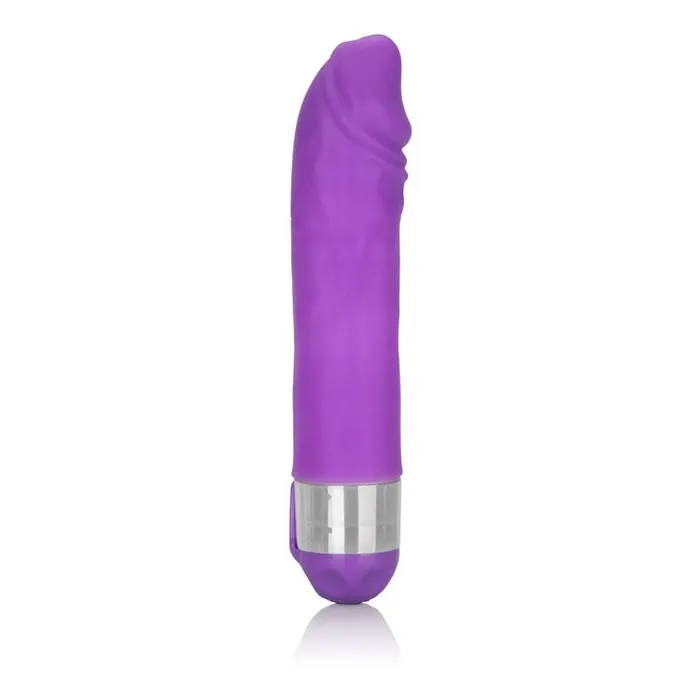 California Exotic Novelties Vibrators Shanes World Silicone Buddy Purple Vibrator