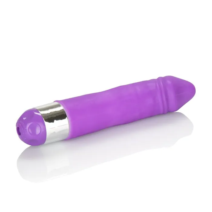 California Exotic Novelties Vibrators Shanes World Silicone Buddy Purple Vibrator