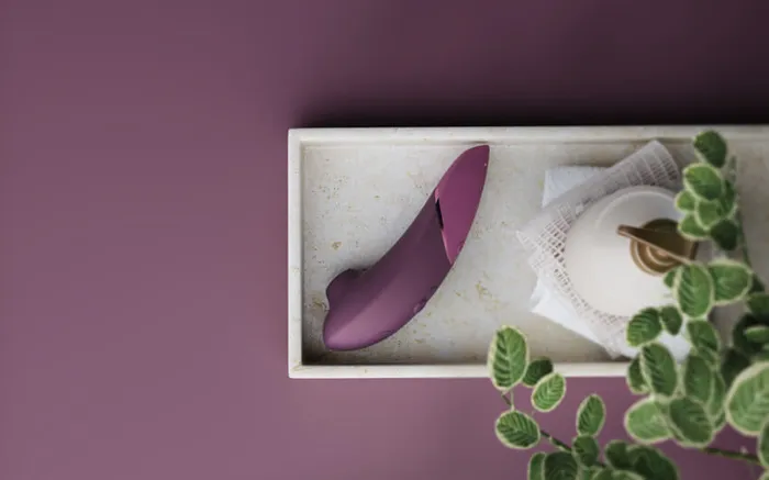 Womanizer Next Womanizer Vibrators